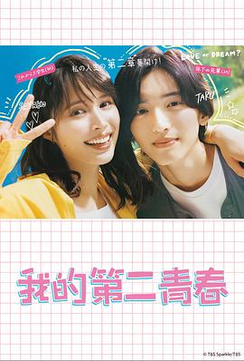 seo优化高质量的外链